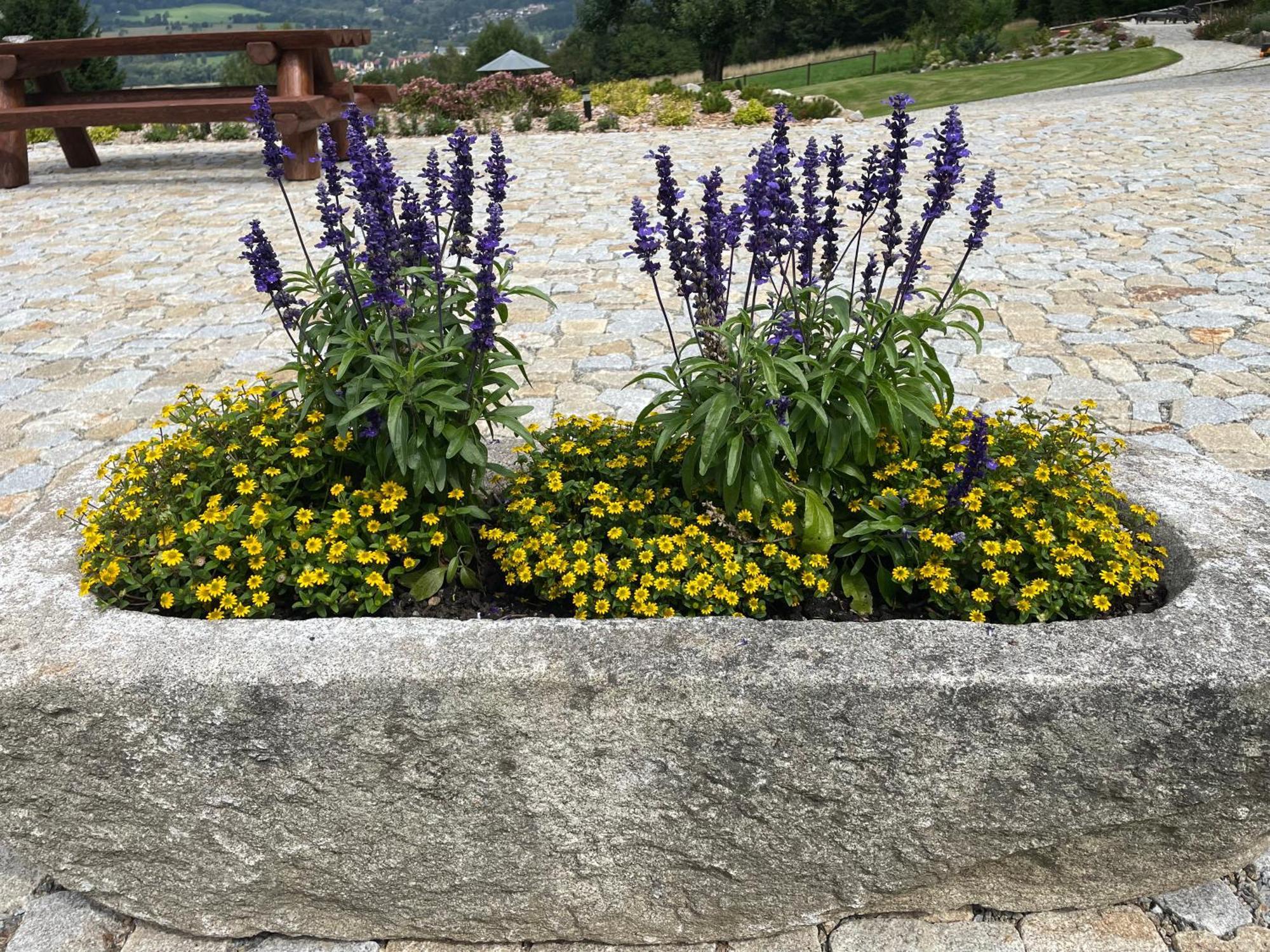 Apartmany Hajovna Lipno Loučovice Dış mekan fotoğraf