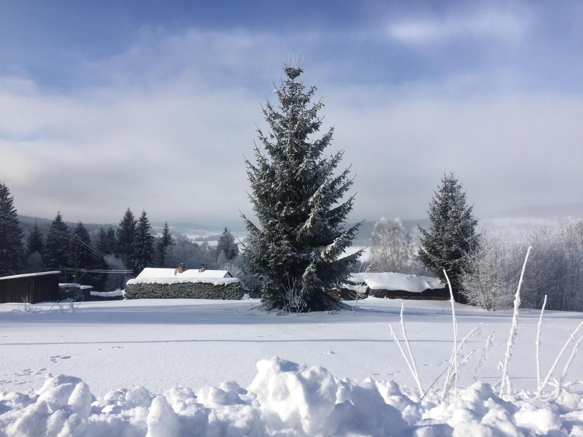 Apartmany Hajovna Lipno Loučovice Dış mekan fotoğraf