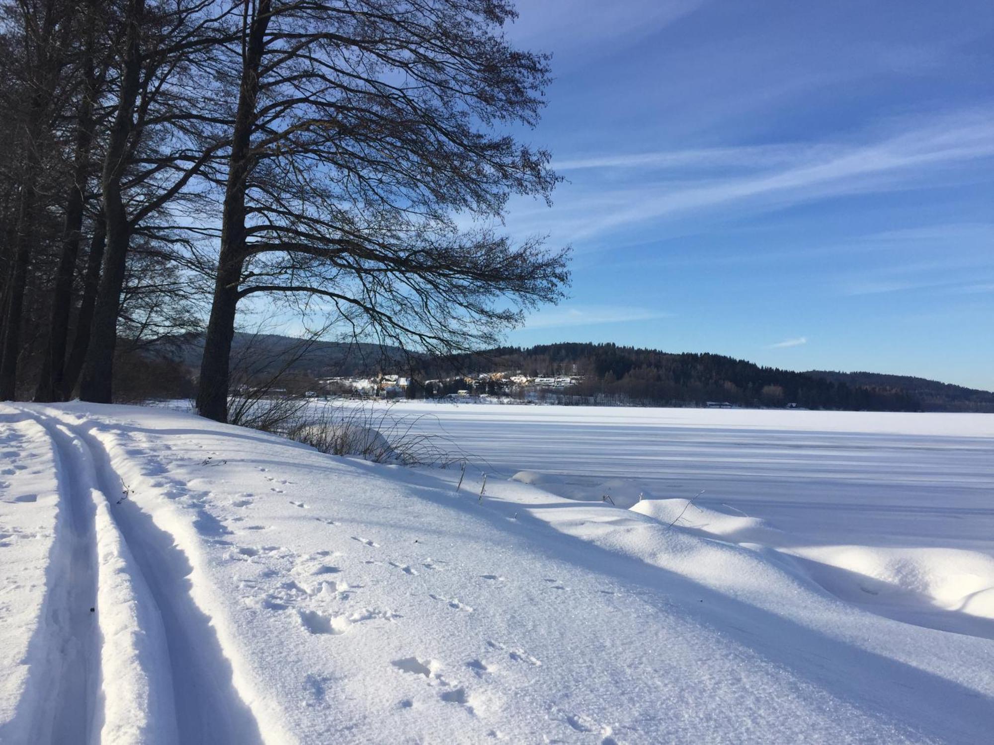 Apartmany Hajovna Lipno Loučovice Dış mekan fotoğraf