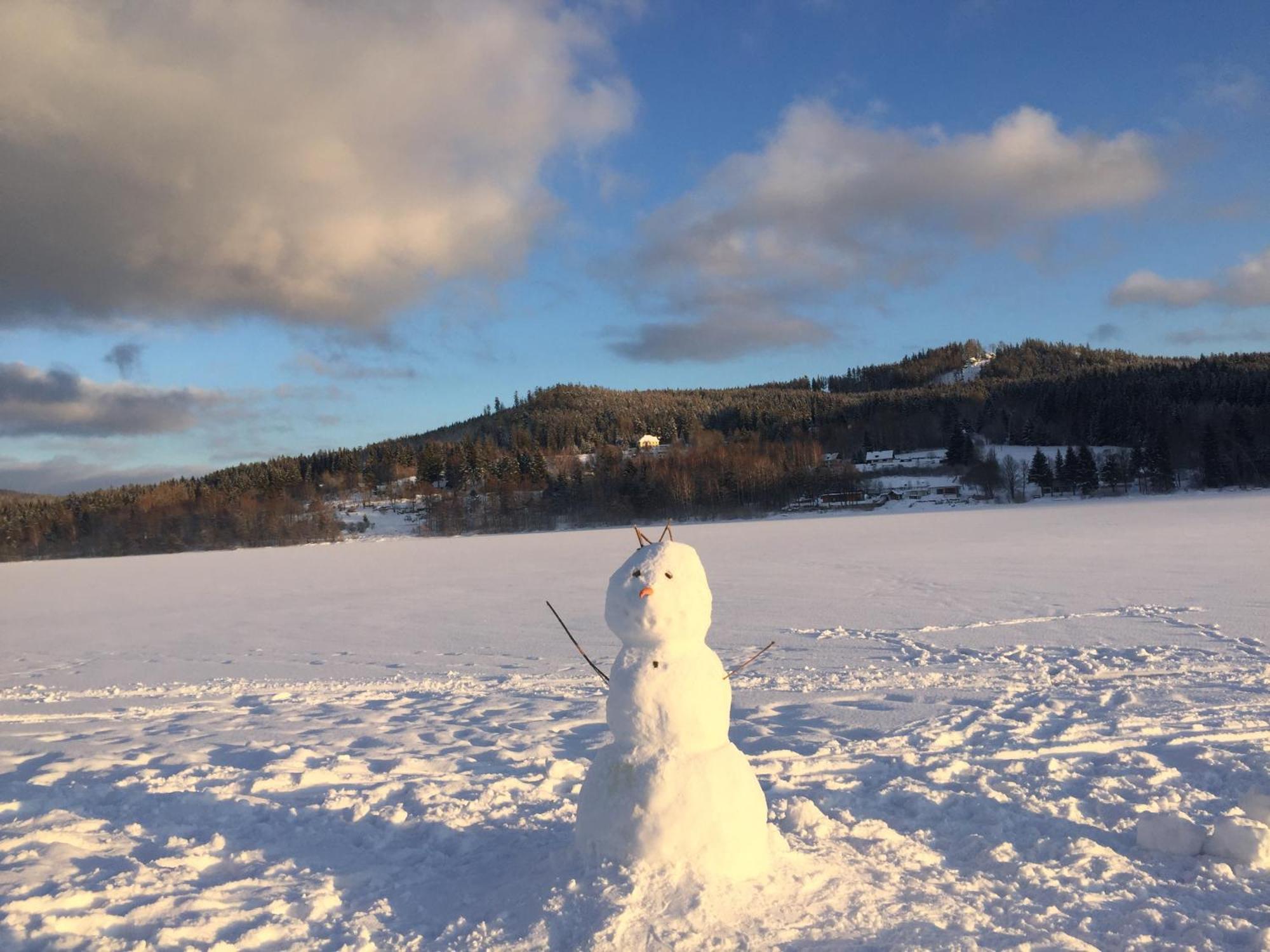 Apartmany Hajovna Lipno Loučovice Dış mekan fotoğraf