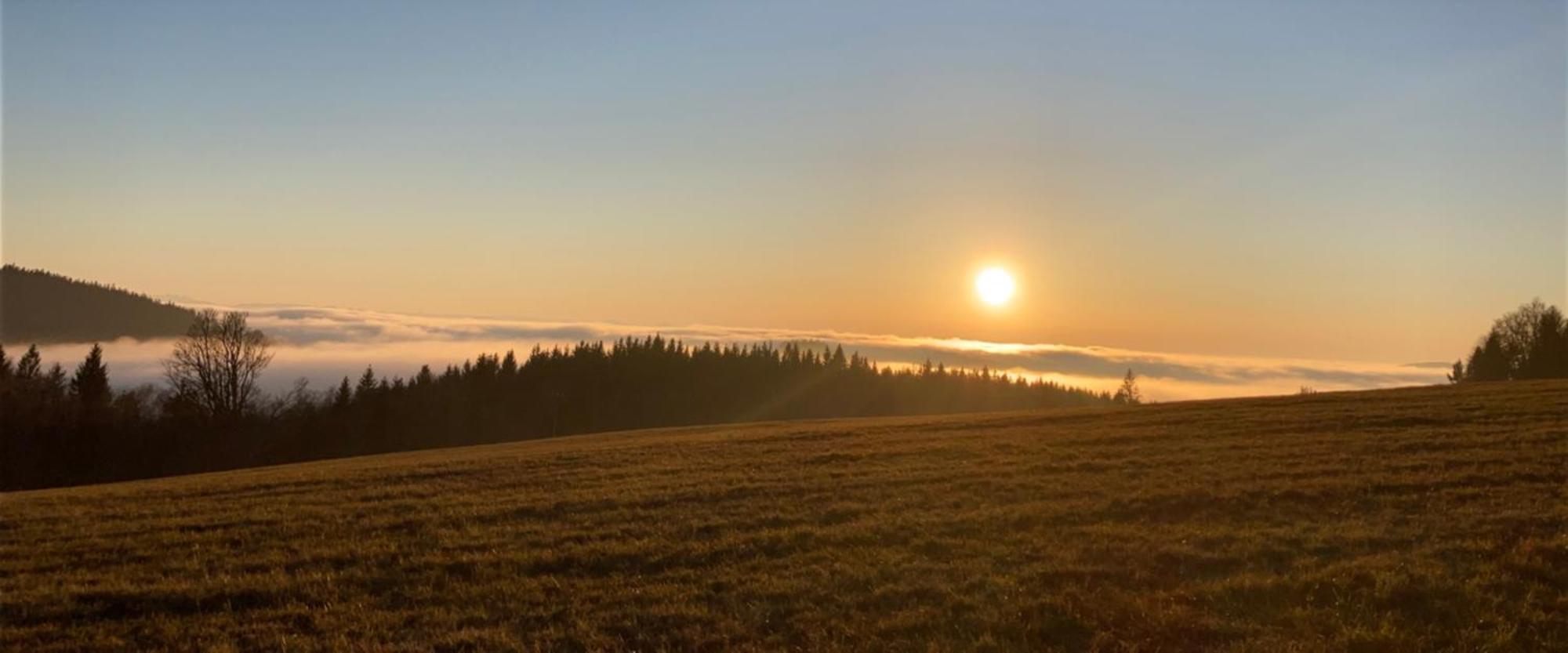 Apartmany Hajovna Lipno Loučovice Dış mekan fotoğraf
