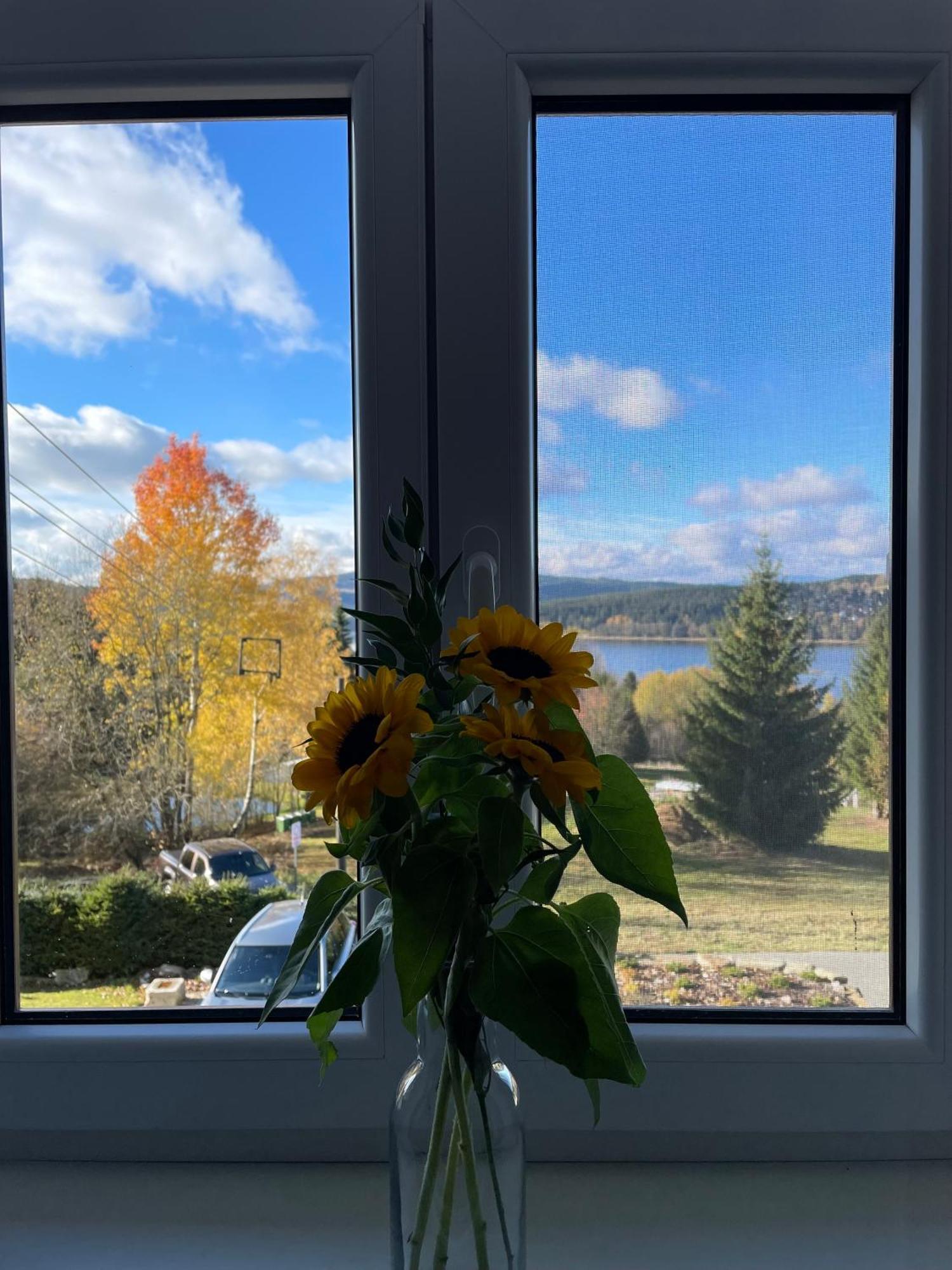 Apartmany Hajovna Lipno Loučovice Dış mekan fotoğraf